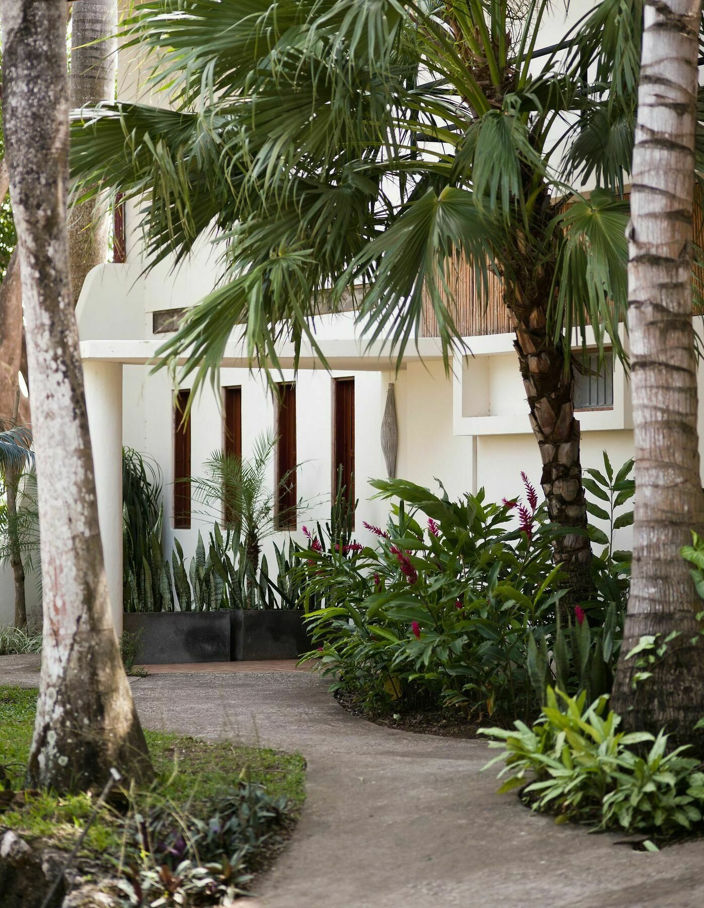 Tierra Magnifica Boutique Hotel Носара Экстерьер фото